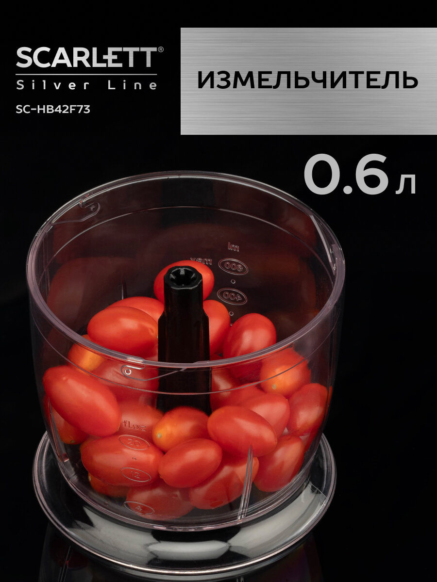 Блендер (SCARLETT SC-HB42F73 SILVER LINE)