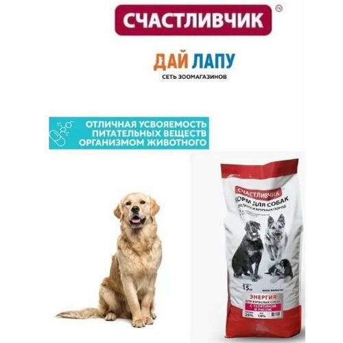 Корм для активных собак сухой, Счастливчик, энергия, Телятина с рисом, 15 кг