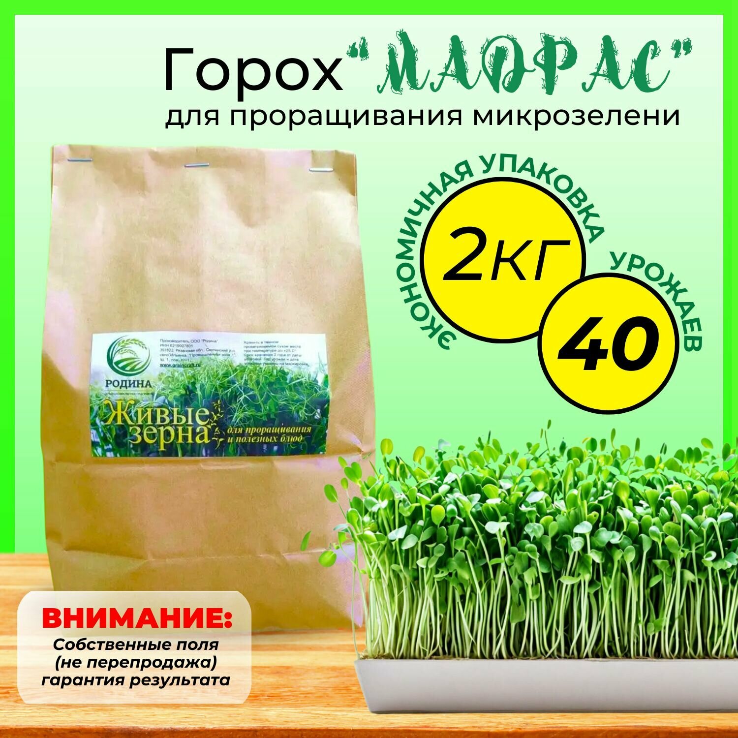 Семена горох зеленый Мадрас, микрозелень сидерат 2 кг Горох для проращивания