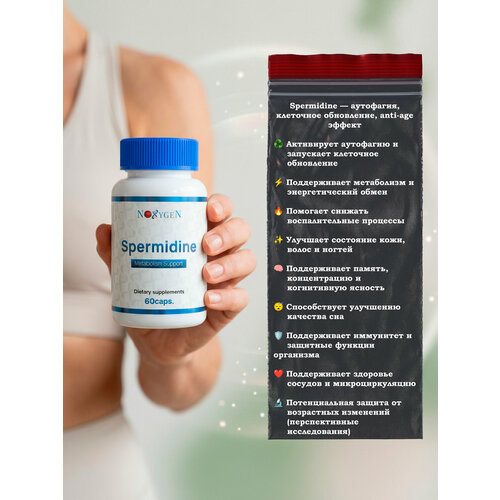 Noxygen Spermidine 60 капсул - поддержка обмена веществ и когнитивных функций
