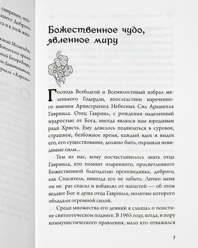 Последний среди первых. Преподобноисповедник Гавриил - фото №2