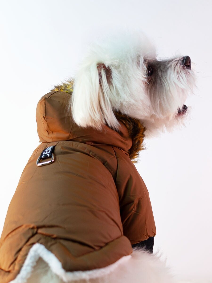 Куртка для собак мелких пород Arnydog Полюс коричневая, S(20-25 см). - фотография № 1