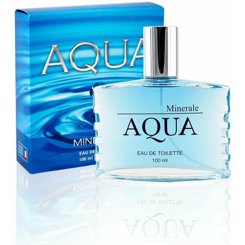 Туалетная вода мужская 100 мл, Aqua Minerale мужская туалетная вода delta parfum absolute aqua 100 мл