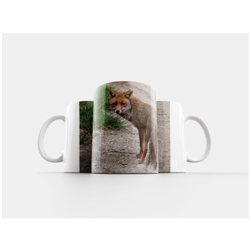 фото Кружка "фокс, животные, природа" 320 мл lotsprints