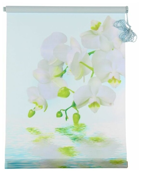 Штора-ролет Магеллан (шторы и фурнитура) Орхидея, размер 50?160 см, цвет голубой Магеллан 1455644 . - фотография № 1