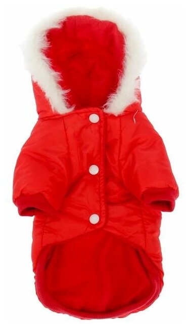 Куртка с капюшоном и мехом, размер XS (ОШ 22, ОГ 32, ДС 20 см), красная - фотография № 6