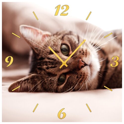 фото Svs настенные часы svs 3501868 лежащий кот