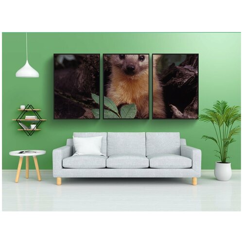 фото Набор модулных постеров для интерьера "куница, дикая природа, растения" 60x90 см. в тубусе, без рамки lotsprints