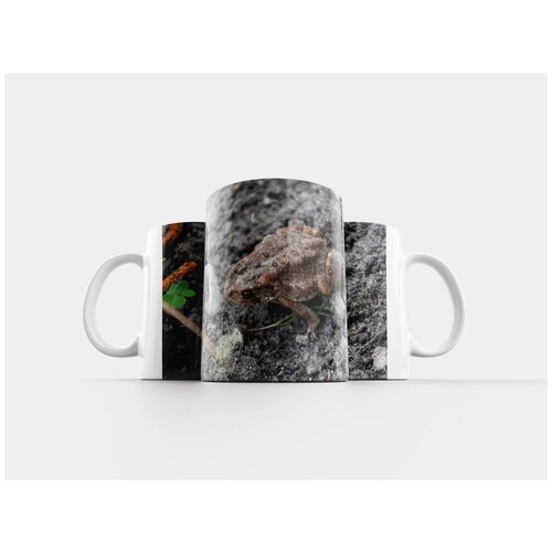 фото Кружка "лягушка, амфибия, дикая природа" 320 мл lotsprints