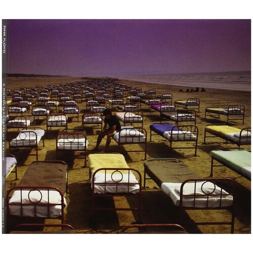 Audio CD Pink Floyd. A Momentary Lapse Of Reason (CD)