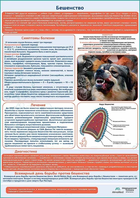 Бешенство медицинский плакат глянцевая фотобумага от 200 г/кв. м, размер A1+
