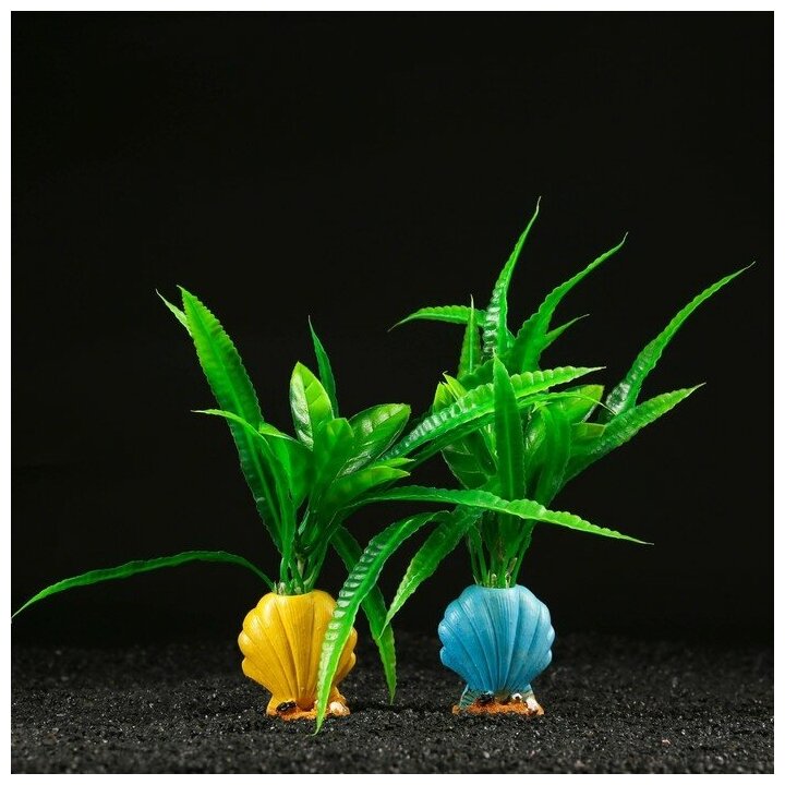 Пижон Аква Растение искусственное аквариумное Пижон Аква «Ракушка», 8 х 5 х 20 см