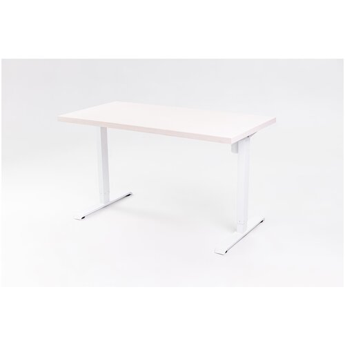 StolStoya Стол компьютерный с автоматической регулировкой высоты мотор 160х80 SE211W/160BD