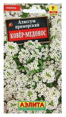 Семена Цветов Алиссум "Ковер-медонос", 0,1 г