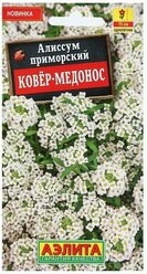 Семена Цветов Алиссум "Ковер-медонос", 0,1 г