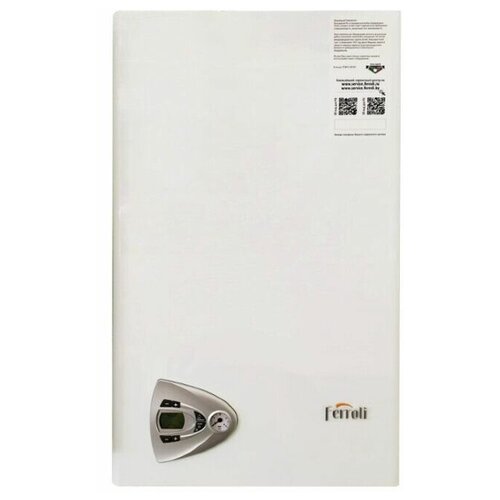 Настенный газовый котел Ferroli Vitabel HF24 6000000₽