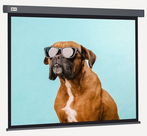 Изображение товара Экран Cactus 183x244см Wallscreen CS-PSW-183X244-SG 4:3 настенно-потолочный рулонный серый