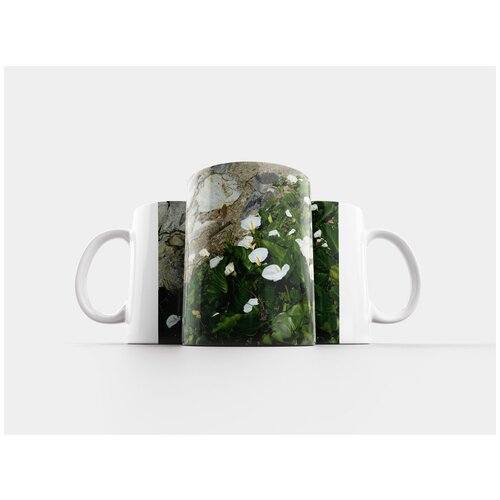 фото Кружка "южная африка, садовый маршрут, камень" 320 мл lotsprints