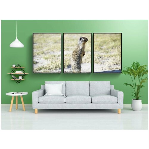 фото Набор модулных постеров для интерьера "шоссе, гора, деревья" 60x90 см. в тубусе, без рамки lotsprints