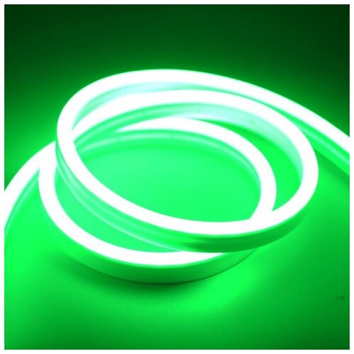 Неоновая светодиодная лента DLED 1м, 5х12мм, 220В, 120 LED/m, IP 67, гибкий неон, зеленый