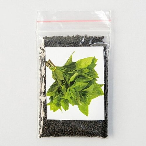 Семена Базилик 