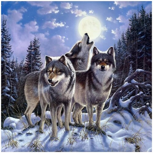 Алмазная мозаика Ночное трио 30x30 см.