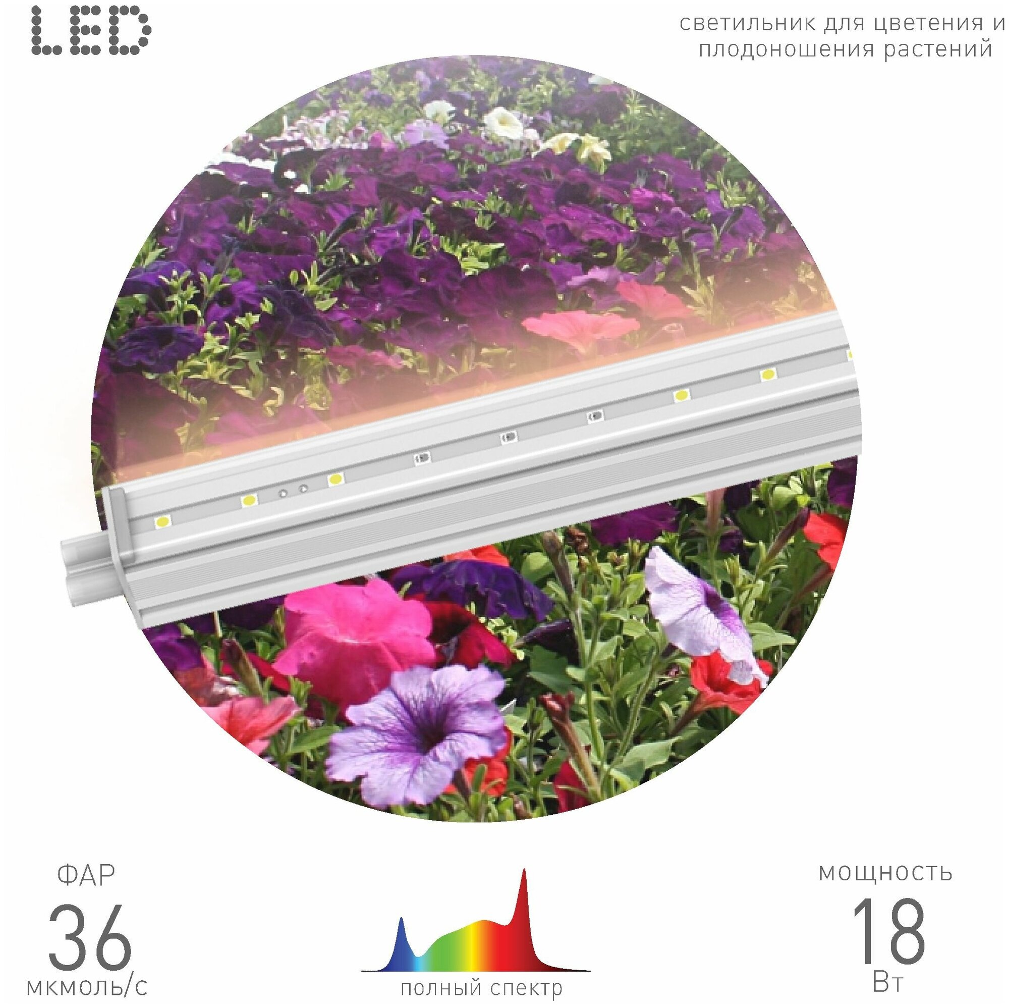 ЭРА Линейный фито светильник для растений и рассады полного спектра FITO 18W T5 Ra90 Б0049313