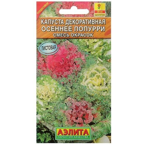 Семена цветов Капуста декоративная Осеннее попурри, смесь окрасок 0,1 г 12 упаковок семена цветов капуста декоративная принцесса смесь окрасок о 0 1 г