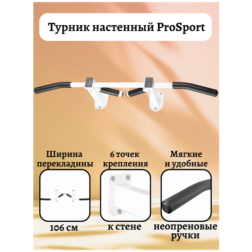 Турник настенный ProSport Sportlim Белый турник настенный prosport sportlim белый