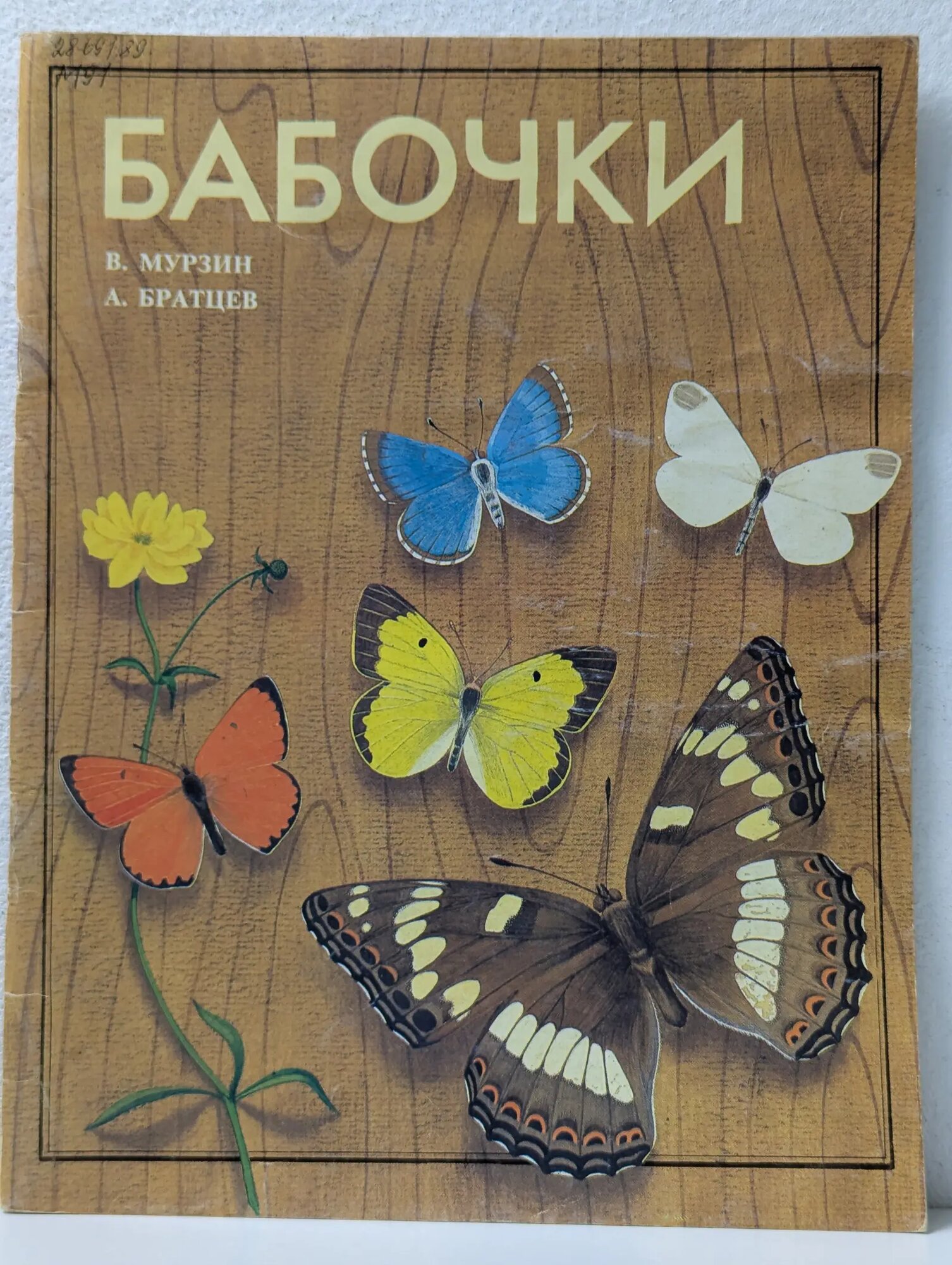 Бабочки Мурзин Владимир Сергеевич, Братцев Андрей 1993
