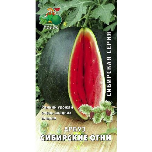 Семена Арбуз Сибирские огни Поиск семена арбуз сибирские огни 1 гр 2 упаковки 2 подарка