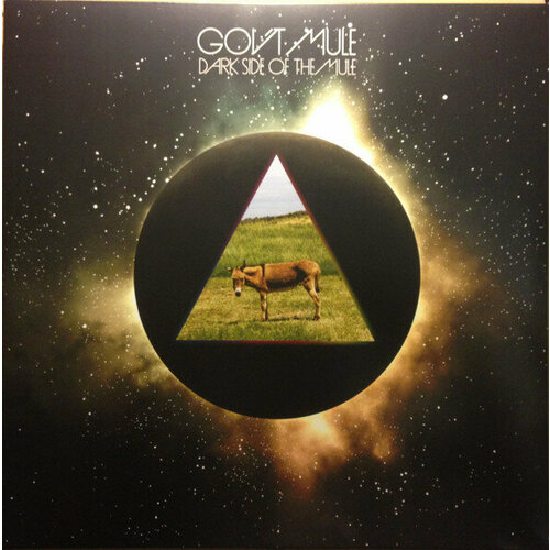 Виниловая пластинка Gov't Mule / DARK SIDE OF THE MULE (2LP)