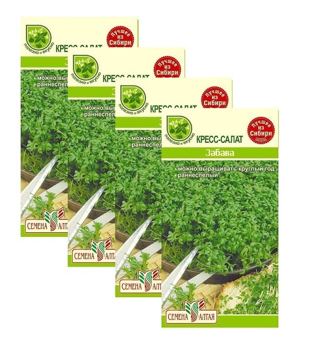 Семена Кресс-салат Забава 1 г (Семена Алтая)  4 пакетика * 1 г