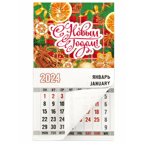Календарь 2024 С новым годом / мандарины магнит на холодильник новогодний