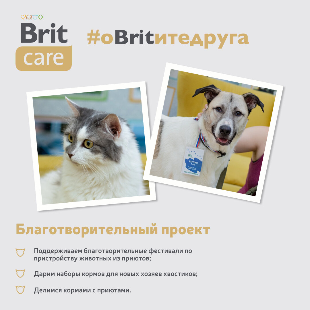 Влажный корм Brit Care для взрослых кошек, куриная грудка/сыр, 80г - фото №19