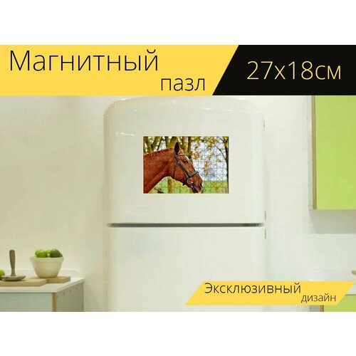 Магнитный пазл Лошадь, животное, езда на лошади на холодильник 27 x 18 см.