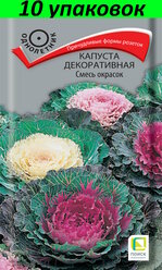 Семена Капуста декоративная Смесь окрасок 10уп по 0,25г (Поиск)