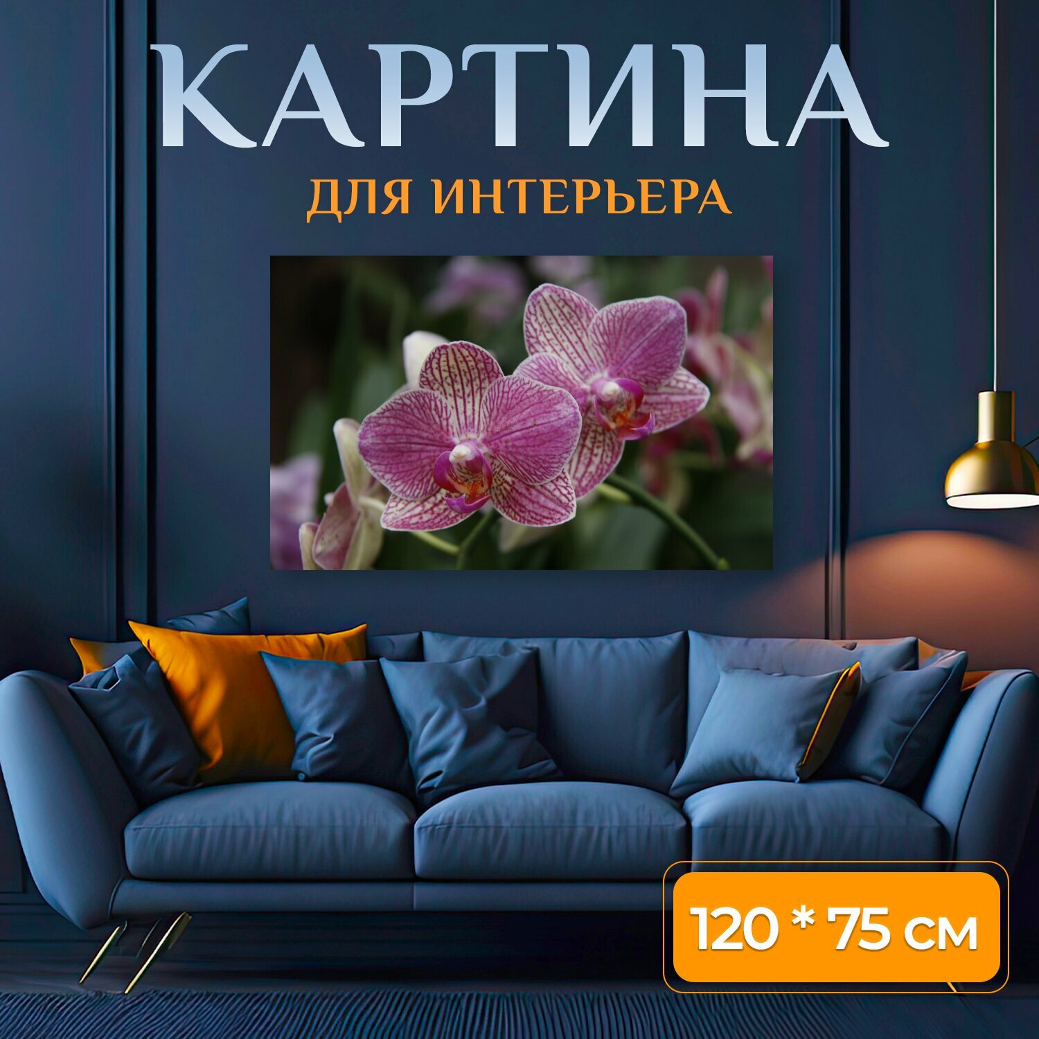 Картина на холсте "Орхидея, фаленопсис, сад" на подрамнике 120х75 см. для интерьера