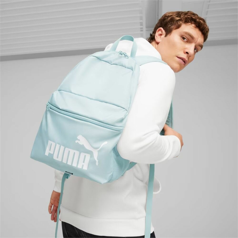 68109-96853 Рюкзак спортивный PUMA Phase Backpack 07994314, 41x 28x 14см, 22 л