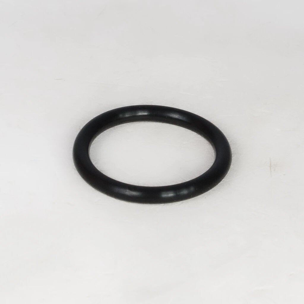 Уплотнительное кольцо термостата General Motors 90537379