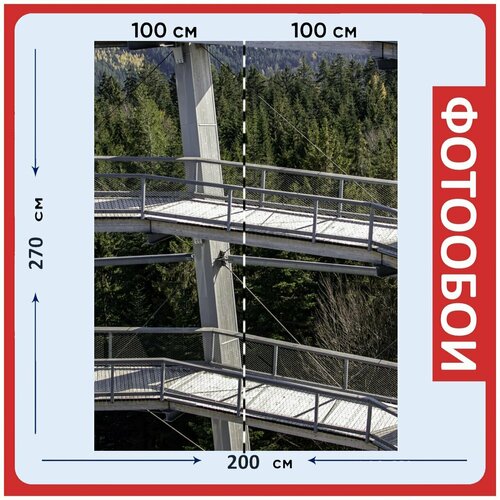 Фотообои Черный лес падение лес 200x270 см флизелиновыена стену 2940₽