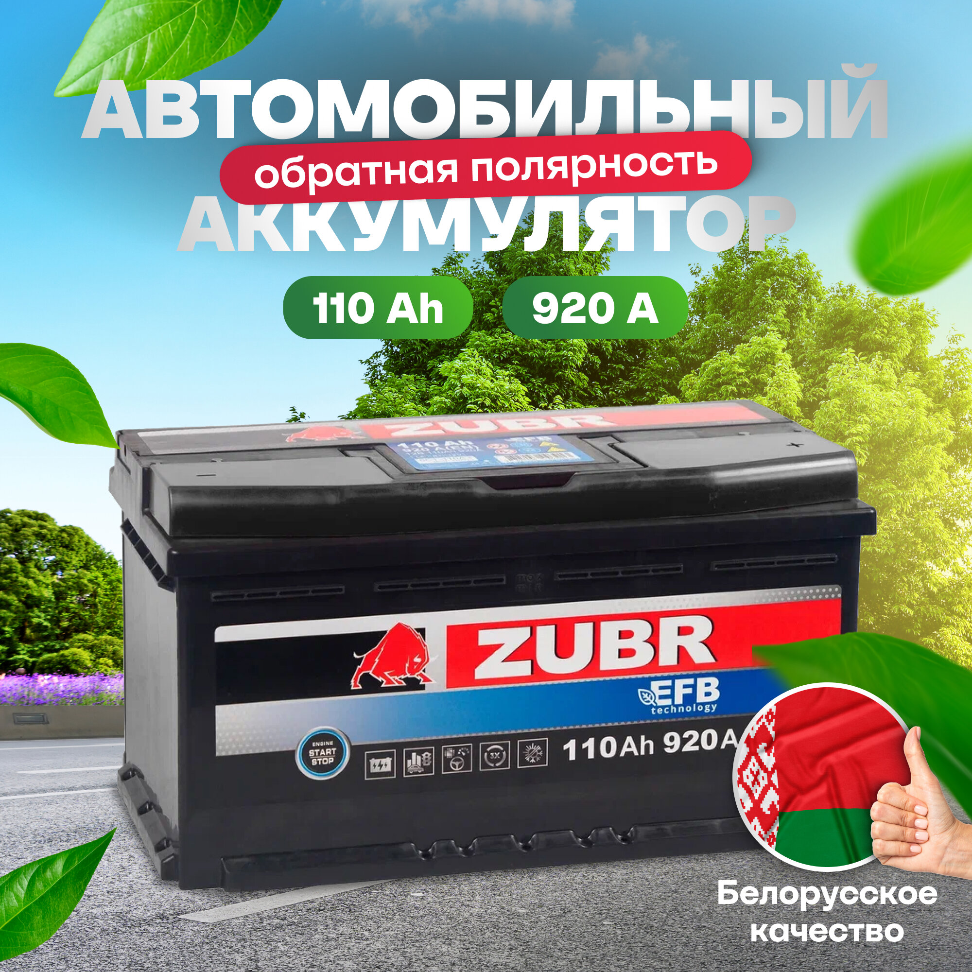 Аккумулятор автомобильный ZUBR EFB 110 Ah 920 A обратная полярность 353x175x190