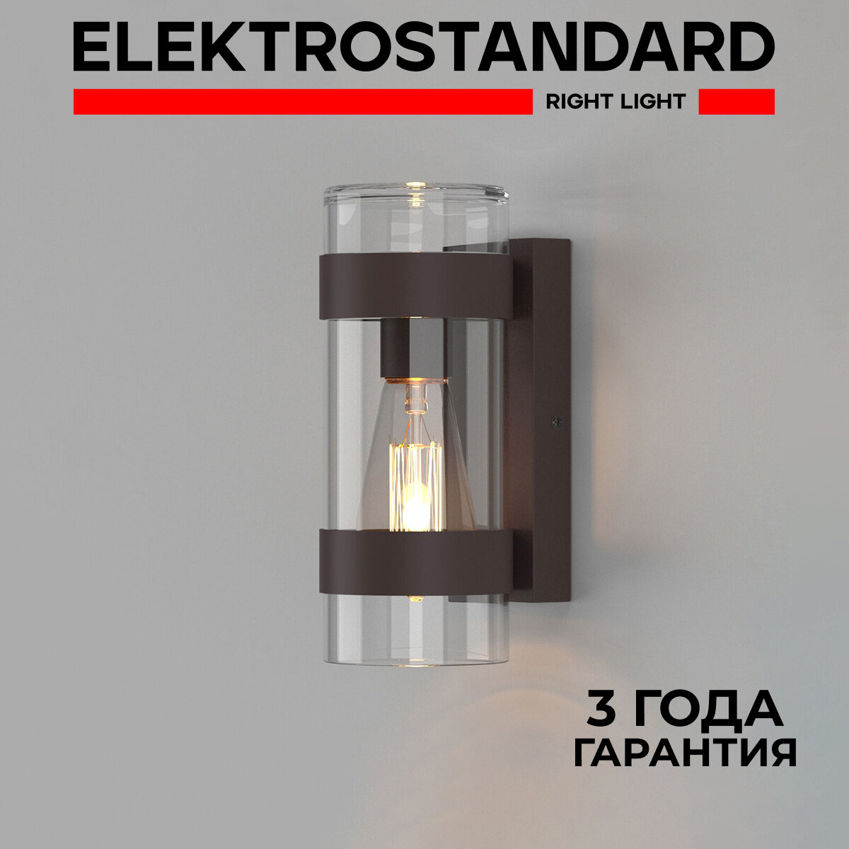 Светильник садово-парковый Elektrostandard Falcon 35167/D темно-коричневый IP43