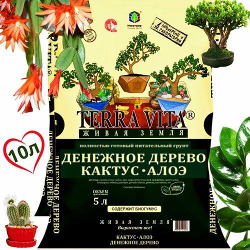 Грунт для кактусов суккулентов замиокулькаса денежного дерева алое10 л