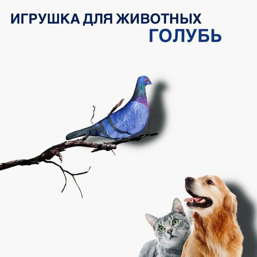 Игрушка для животных И. П. Видашова "Голубь", для кошек, 21х6х5 см