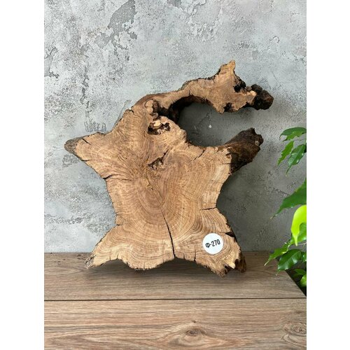 Спил дуб. Габаритные размеры 56х45х7,5 см. Заготовка. Сухой. Шлифованный с 2-х сторон