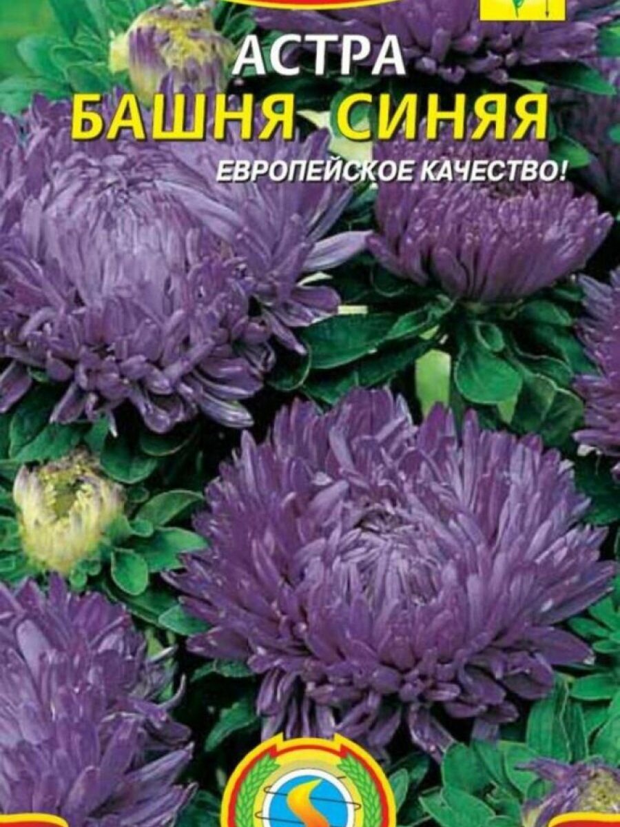 Семена Астра Башня Синяя 03 гр Плазменные семена