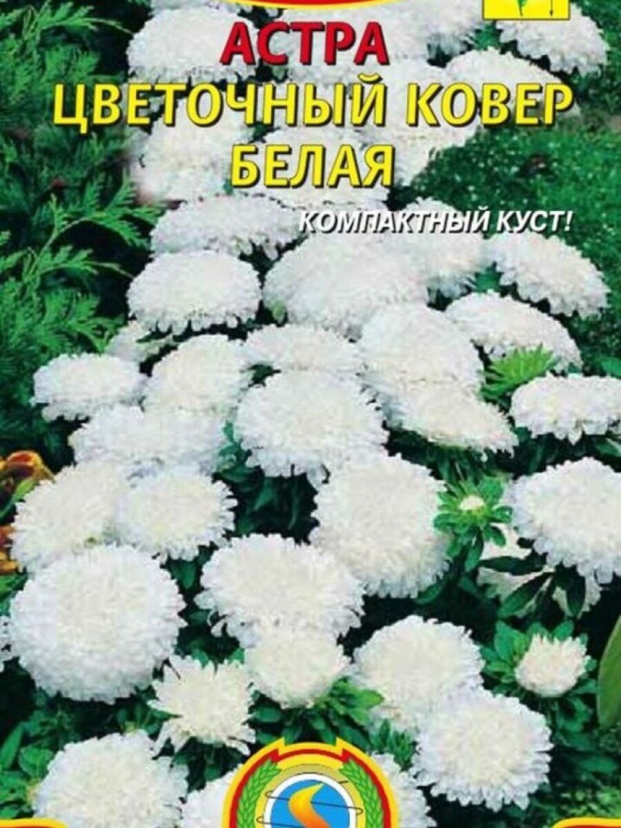 Семена Астра Цветочный ковер БЕЛАЯ 02 гр Плазменные семена