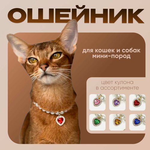 Изображение товара Колье ошейник для кошки и собаки с серебряным кулоном 15-25см