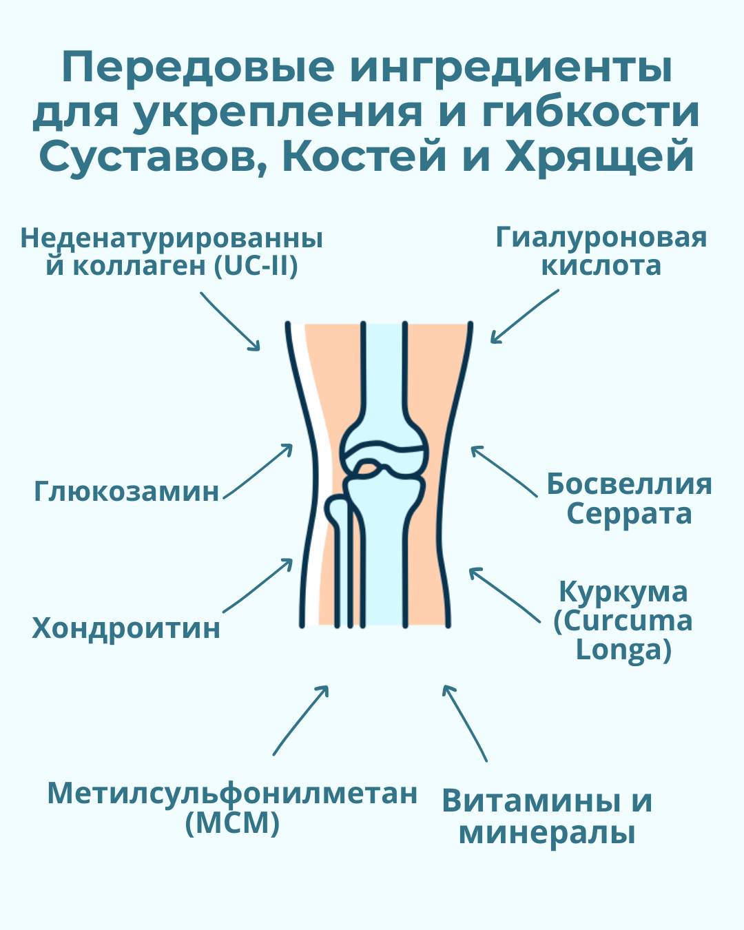 Джоинтли, Для крепких и гибких суставов, костей и хрящей | 10 саше — фото 1